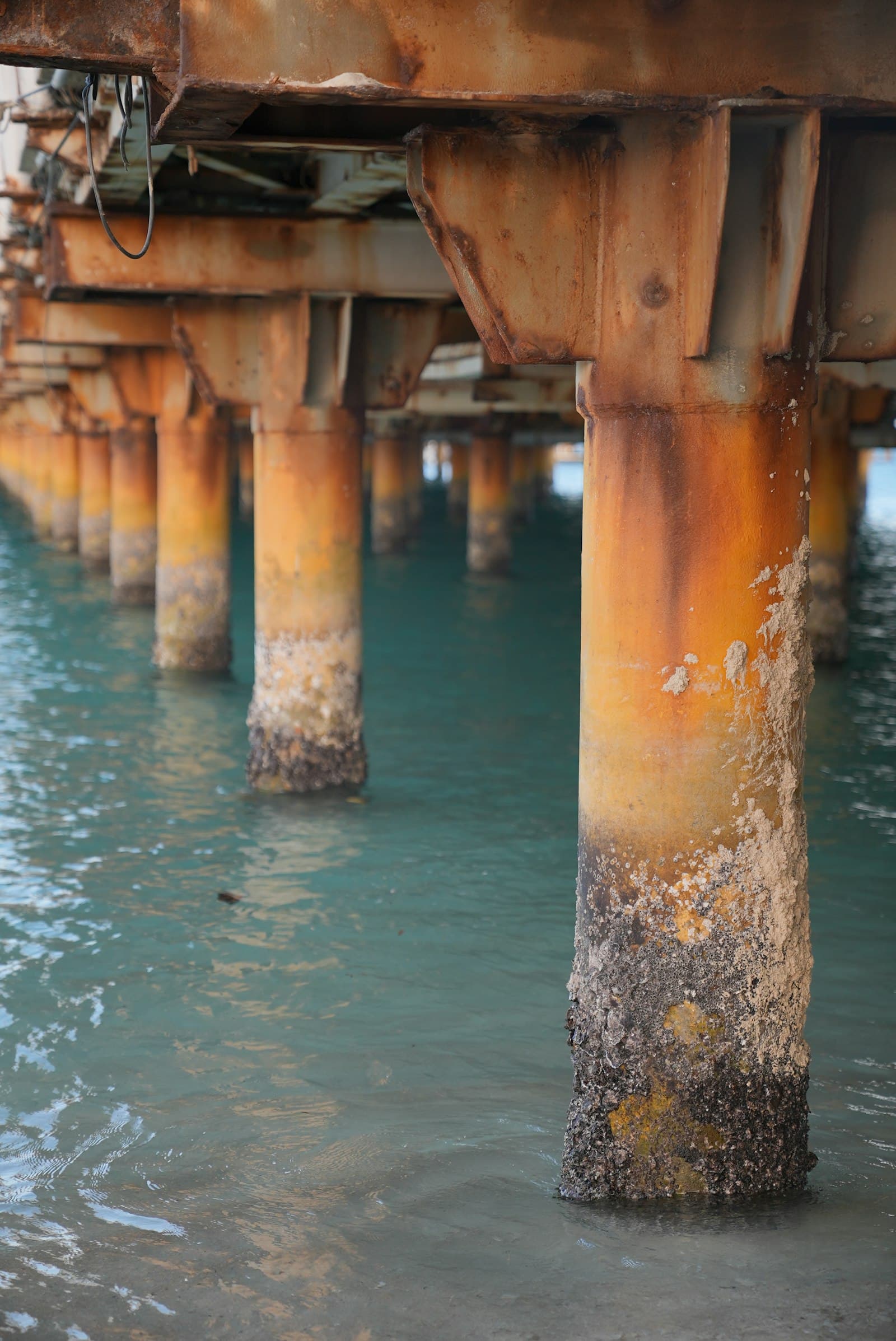 Underwater pier columns with chloride-induced corrosion — the targets of galvanic cathodic protection